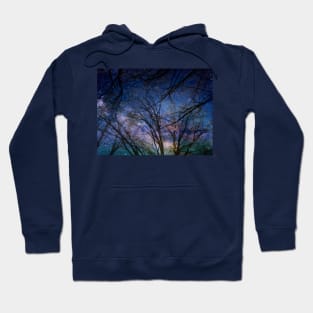 looking at the sky Hoodie